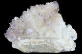 Amethyst Crystal Cluster - Diamond Hill, SC #69783-2
